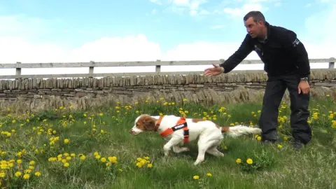 Rachel Cripps Scout the dog in action