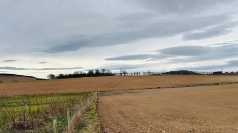 A large brown field with trees in the distance.