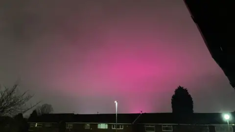 Haruna Battson Pink sky over the roofs of silhouetted houses. 