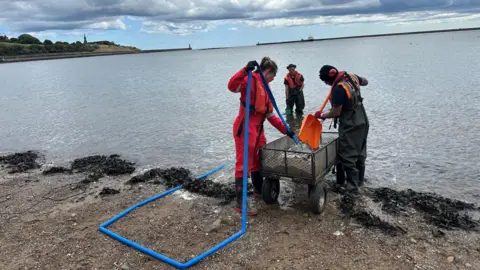 A man and a woman in waterproof overalls sift through plastic pellets inside a metal trailer on the shore in North Tyneside. The man holds an orange shovel and the woman holds a long blue tube. Another man stands in knee-high water looking on. All three are wearing protective equipment. 