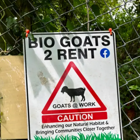Narberth Town Council A sign which reads bio goats 2 rent. Under is a red triangle with a picture of a goat which says goats @ work.