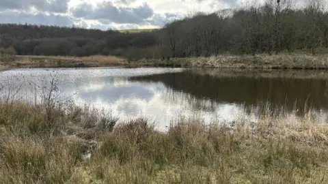 Jack's Key Lodge features a lake surrounded by deciduous trees.