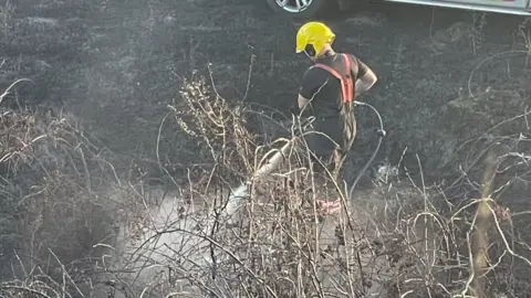 Cambridgeshire Fire and Rescue Service A lone firefighter wearing a yellow hard helmet with a black T-shirt and shorts directs a water hose toward the ground to put out a fire. The ground around him has been blackened in a fire.