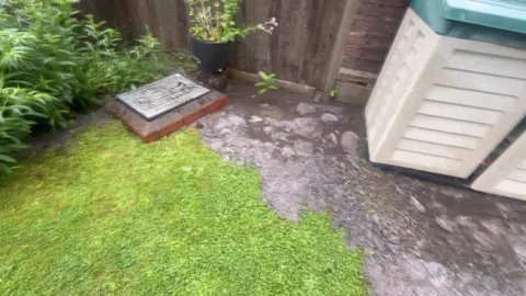 A drain cover with a raised brick surround and a metal cover in the corner of a garden with plants behind and a lawn in front. Brown liquid is coming out of the drain and covering the lawn. A plastic bike shed is in the right hand corner of the image.