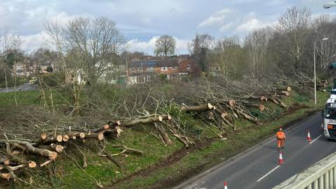 Felled trees alongside the A38