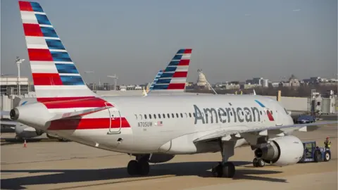 AFP American Airlines aircraft
