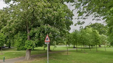 Google Pearson Park, Hull