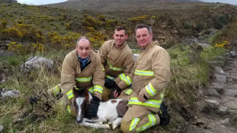 Northern Ireland Fire and Rescue Service  Fire services rescuing foal