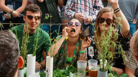 PA Two women and a man sit at a long table covered in stinging nettles and pints of cider, watched by a crowd of spectators.