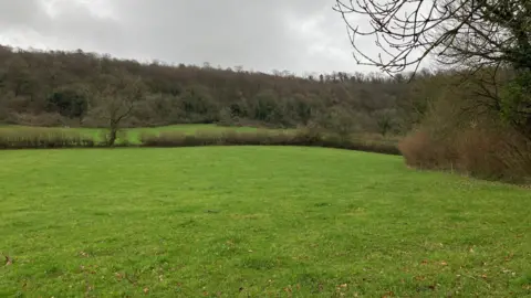 A view across a green field on a drizzly overcast day. The grass is a bright green but all the trees and hedges have their leaves missing. The sky is full of grey clouds.