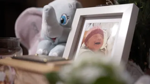 A photo of Willow next to an elephant soft toy