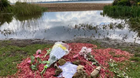 Weston Shore swan site