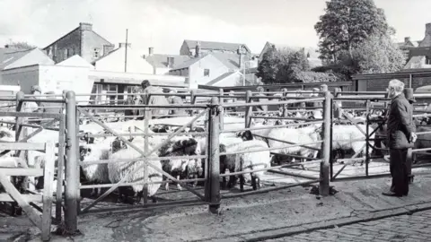 Ribble Valley Council Black and white archive image of cattle in a pen at Old Clitheroe cattle market