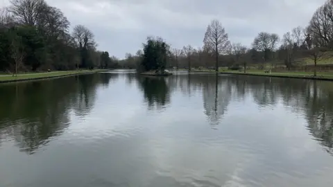 The lake at the pleasure grounds, with the surrounding trees reflected in it