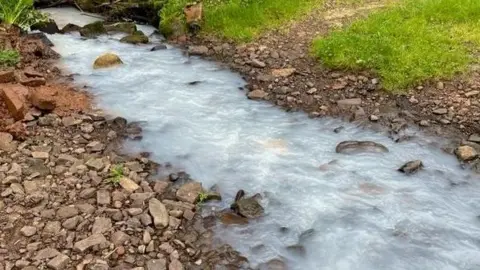 The picture shows a narrow stream running through a rural area, and the water has turned a cloudy white colour from milk pollutioin. The stream flows over reddish‑brown rocks and gravel, with the milky water moving quite quickly downhill. 