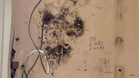 BBC Black mould growing on the living room wall of a house