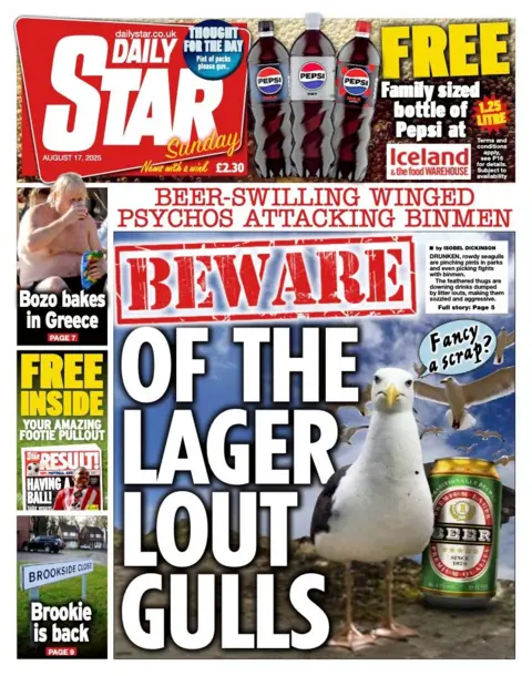 The headline on the front page of the Daily Star reads: "Beware of the lager lout gulls".