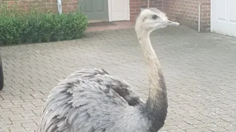 TVP Roads Policing Emu