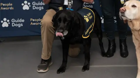 Ridley's fur is black and his tongue is out. He has a Guide Dogs ambassador covering on.