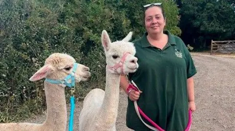 Lucy Russell A woman with her hair tied back and wearing a green T-shirt. Two alpacas are standing next to her. She is holding on to them both with leads. Behind them are green bushes and trees. There is a gate in the distance.