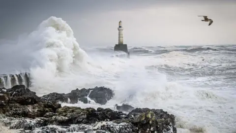 Peter Grant The sea crashes against rocks with a lighthouse in the background and a bird flying past