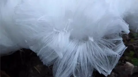 Kenny Allen The unusual phenomenon has been spotted in a number of sights in Omagh