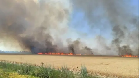 Kherson police/Facebook Crops ablaze