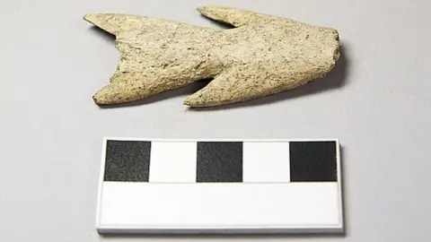 AOC Archaeology Spear or harpoon