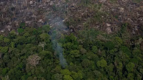 Getty Images A section of the Amazon rain forest that has been decimated by wildfires