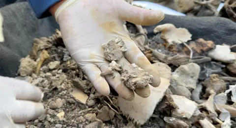 A gloved hand holds what appears to be teeth and parts of a jaw found in the rubble in Rafah 