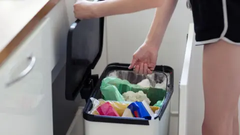 A small silver and black bin's lid is held open by someone's hand. With their other hand they are lifting the middle green bin out. The bin is in the bottom drawer of a cupboard. The person opening the bin is wearing black and white shorts.