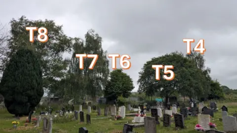 Southampton City Council Image of a cemetery with big trees in the background, marked T8, T7, T6, T5, & T4 to show they are the trees being chopped down.