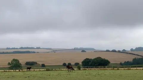 Two horses graze in a green field in front of trees and a rolling landscape of fields in the background.