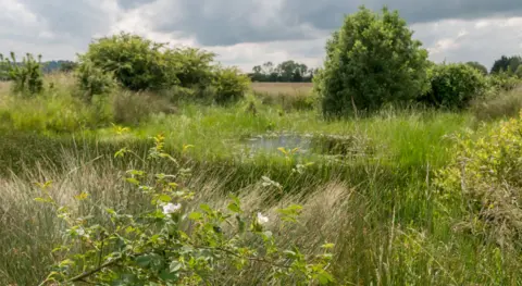 Ludgershall Meadows