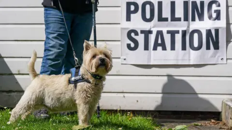 A small cream coloured dog outside by a sign for a polling station. 