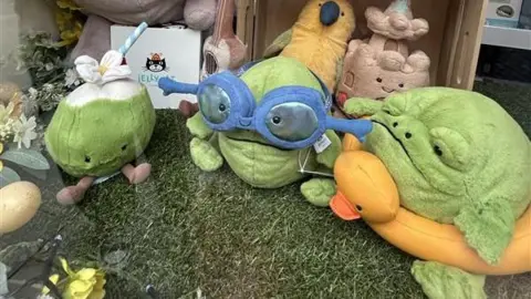 Eleanor Maslin/BBC Inside a shop window are Jellycat toys lined up on a grass display. On the left is a green and white drink with a face and brown feet and a straw. In the middle is a frog wearing blue goggles and on the right is another frog with a grumpy expression wearing a yellow duck dinghy. Behind is a sandcastle with a smiley face and a yellow bird next to it.