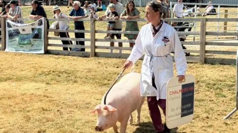 A woman wearing a long white coat leads a pig around a ring.