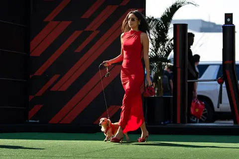 Getty Images Picture of Alexandra Saint Mleux in a red maxi dress walks a sausage dog in a matching red harness across some grass