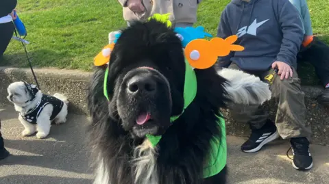 A large black-and-white dog stands on a paved path in the foreground wearing a bright green costume with orange and blue decorative shapes attached near the head. Behind the dog, two unidentified children sit on a low concrete kerb beside a grassy slope, with an adult standing nearby. Another small dog on a lead is visible to the left. Houses and greenery appear in the background.