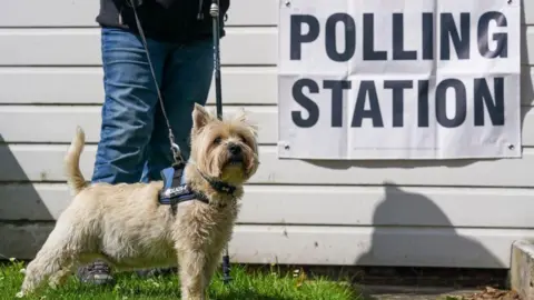 A person is standing behind a dog on a lead. The dog is small and is a beige and white colour, on a building behind it there is a large white sign that reads "polling station" in black letters.