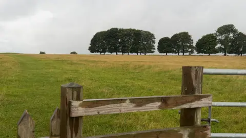 Image showing the landscape of Middleton Moor in Derbyshire, with grassland and trees in sight