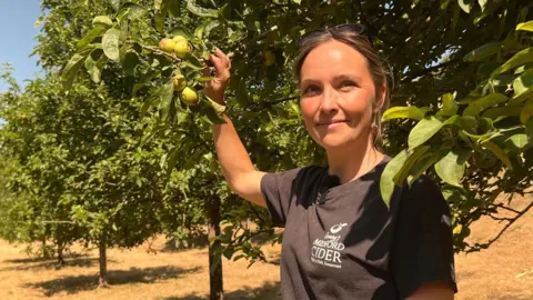 A young woman wearing a black T-shirt stands next to a line of trees in an apple orchard on a sunny day. The grass is dry and yellow and she has her right arm raised with her hand holding a branch which has small green apples on the end