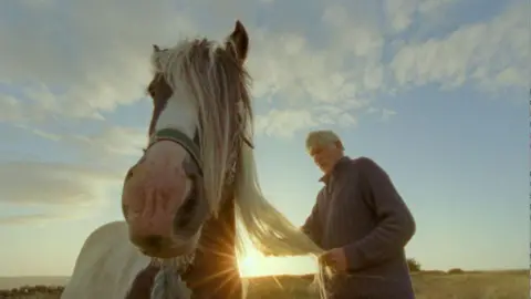 Juliet Klottrup A man brushes the mane of a brown and white horse against a yellow sunset.