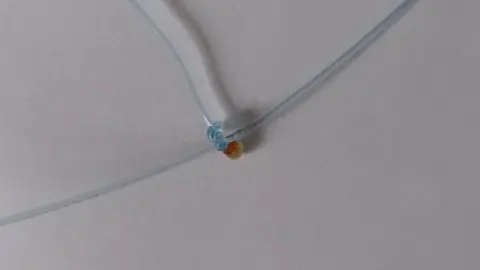 Cassie Langton Close-up of the snare