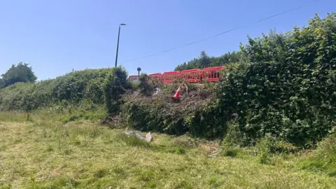 A gap on a hedge can be seen where the bus has toppled. The shrubbery is damaged and bending away from the road. There is a red, protective barrier on the road where the gap is.