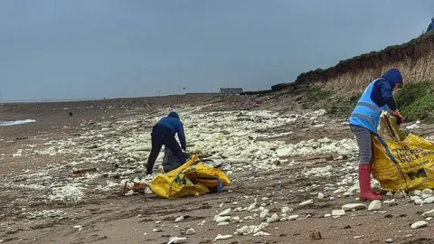 Donna Tretheway Two people on the beach, both have their hoods up and are picking up rubbish from the beach and putting it into large yellow sacks. 