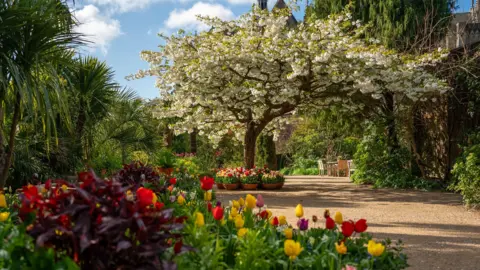 Arundel Castle A tree in white blossom is visible in the distance in the foreground are red and yellow tulips. 