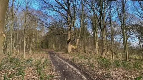 Dacre, Son and Hartley East Wood