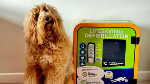 A very fluffy blonde dog sitting next to a case with a defibrillator in it.