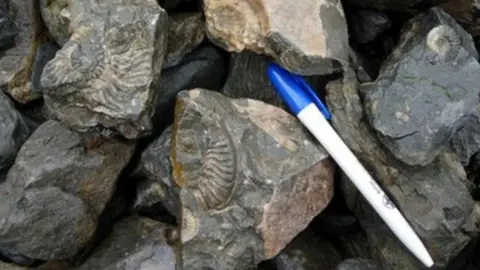 SNH Damaged fossils in Skye